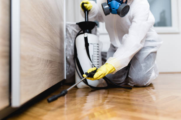  Wellsville, MO Pest Control Pros