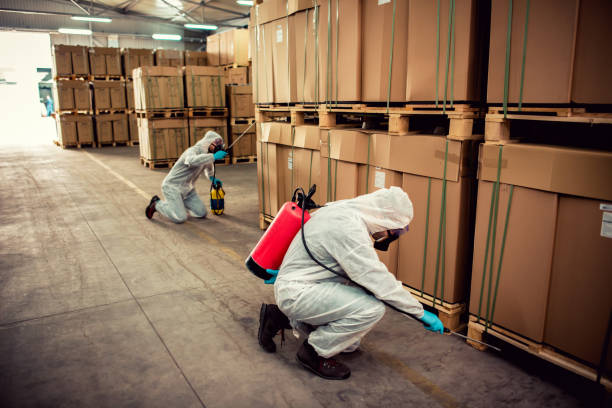 Best Wildlife Control Services  in Wellsville, MO