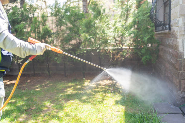 Bird Control in Wellsville, MO