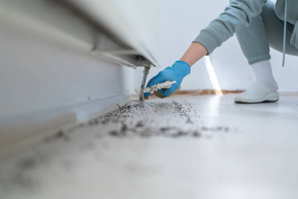 Best Exterminator Services  in Wellsville, MO