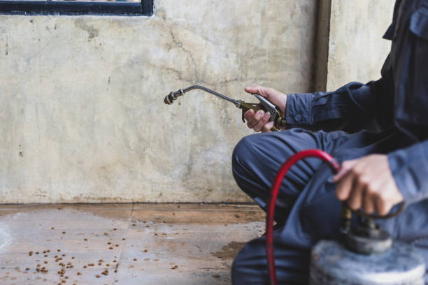 Pest Control for Restaurants in Wellsville, MO