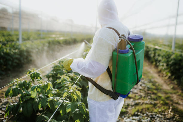 Best Pest Removal Services  in Wellsville, MO